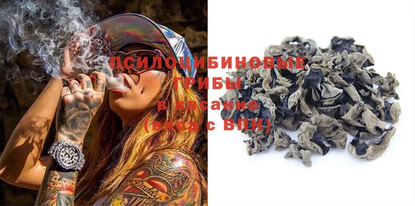 стаф Нея