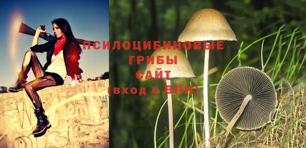 стаф Нея