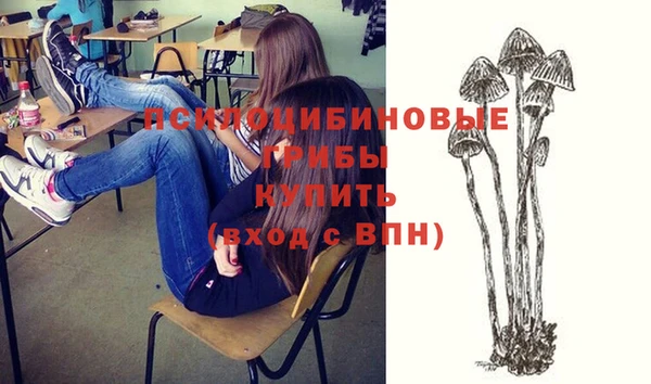 стаф Нея