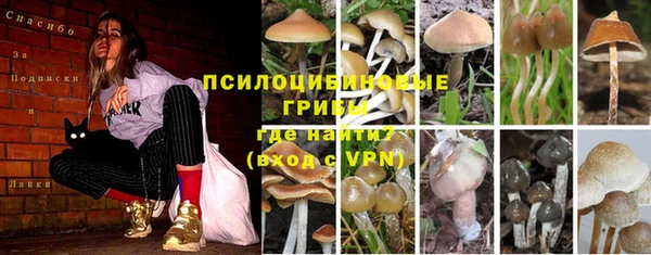 mdpv Нефтекумск
