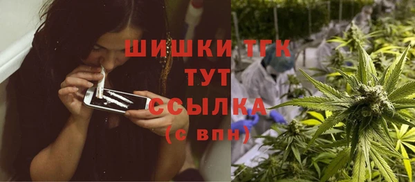 стаф Нея