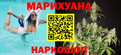 крисы Камышлов