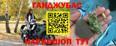крисы Камышлов