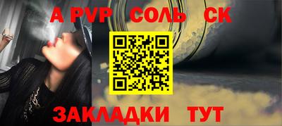 крисы Камышлов
