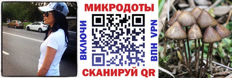 Псилоцибиновые грибы Psilocybine cubensis Прохладный