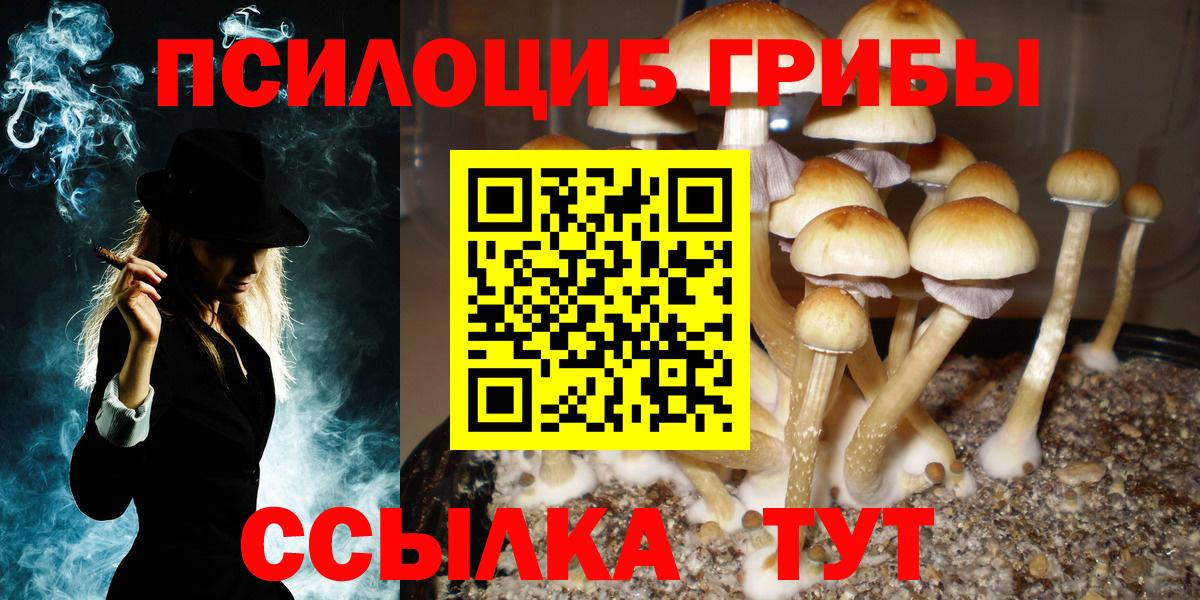 Прохладный  Галлюциногенные грибы ЛСД  Вход с VPN 