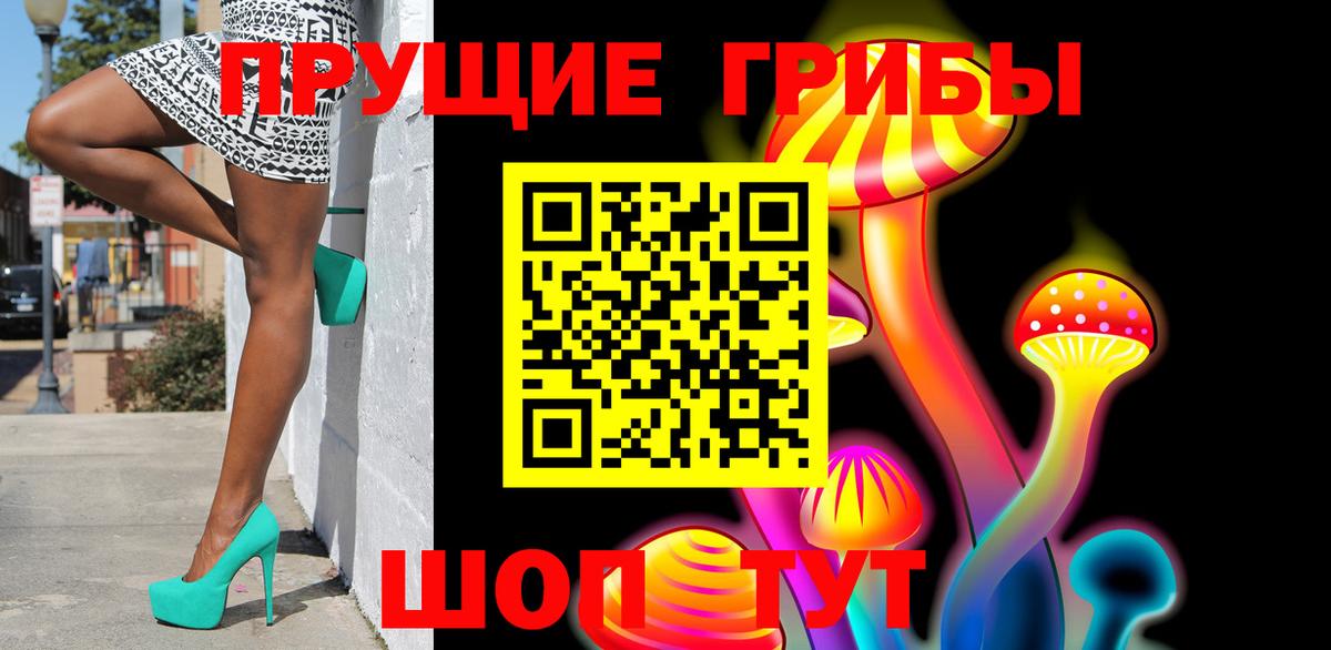 Псилоцибиновые грибы Psilocybe  Прохладный  Галлюциногенные грибы Magic Shrooms 