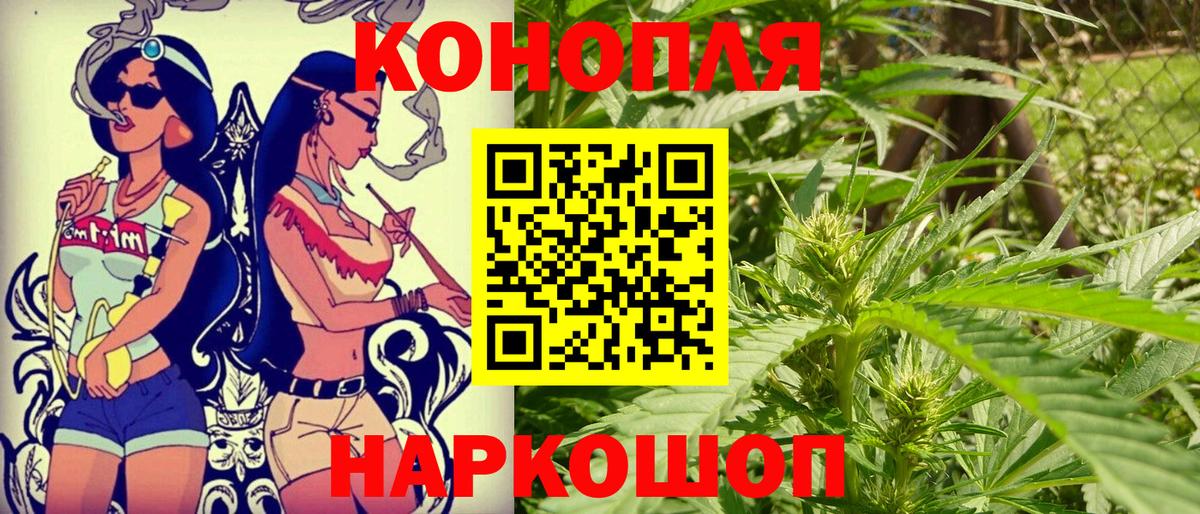 Шишки марихуана гибрид Прохладный